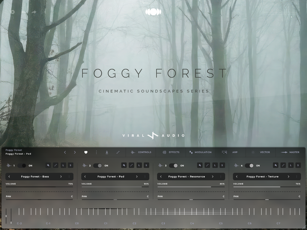 Foggy Forest | Haunting Cinematic Soundscape Screen