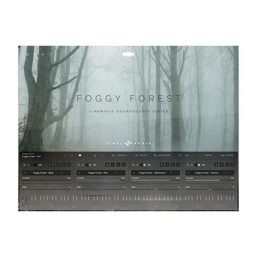 Foggy Forest | Haunting Cinematic Soundscape - Viral Audio