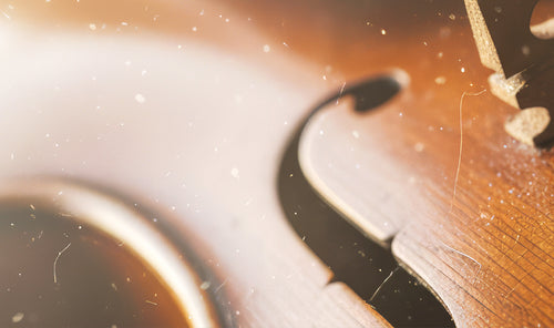 Slow Strings | Serene Cinematic Soundscape Listing Background - Viral Audio